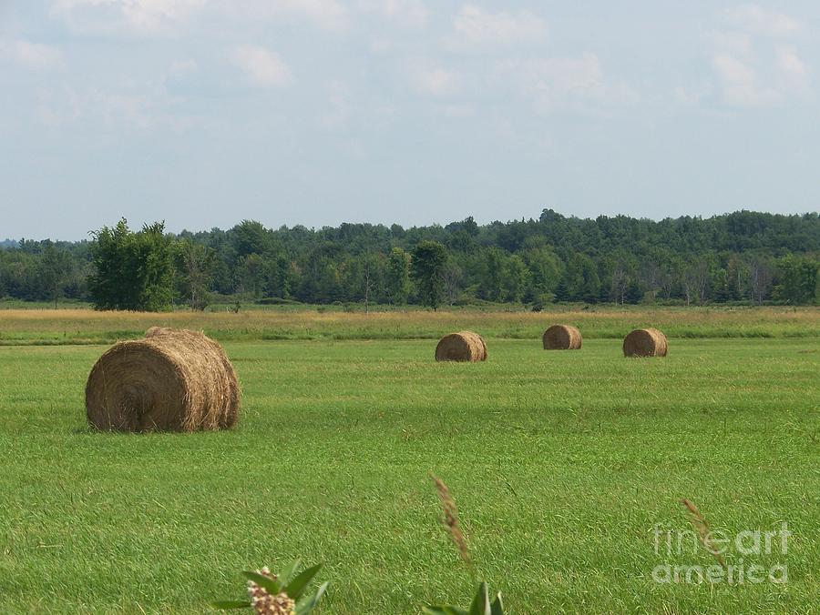 Summer Photograph - North Country Haystacks by Kevin Croitz