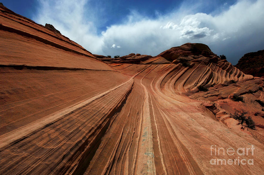 North Coyote Buttes Lines In The Desert Photograph by Bob Christopher
