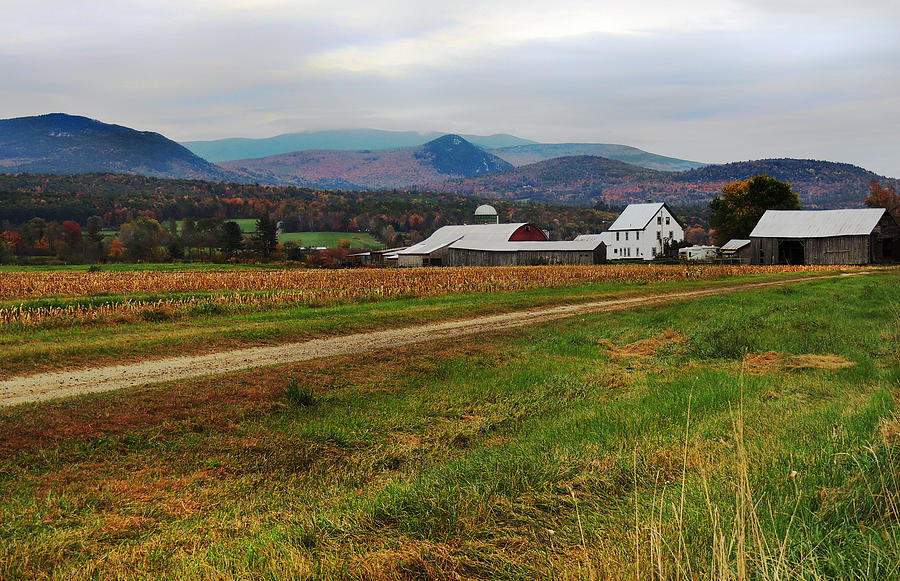 North Haverhill Farm in Fall Photograph by Nancy Griswold