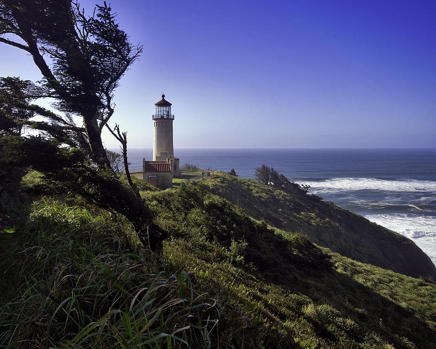 North Head Lighthouse Photograph by Paul Riedinger
