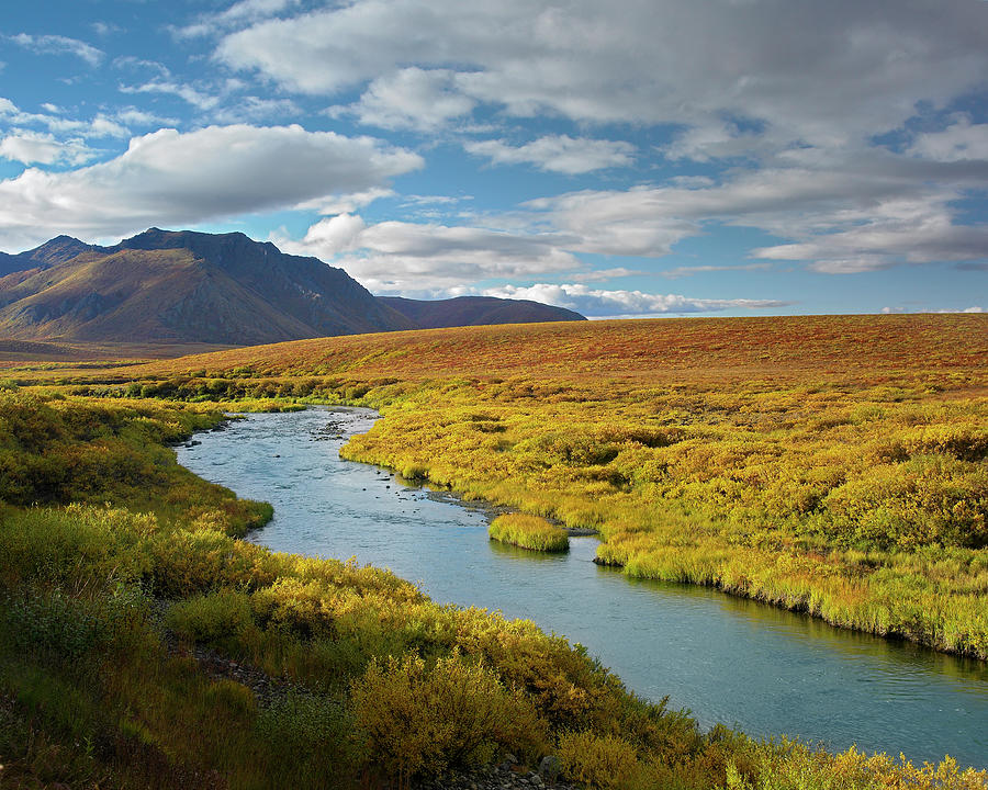 North Klondike River Flowing Photograph by Tim Fitzharris