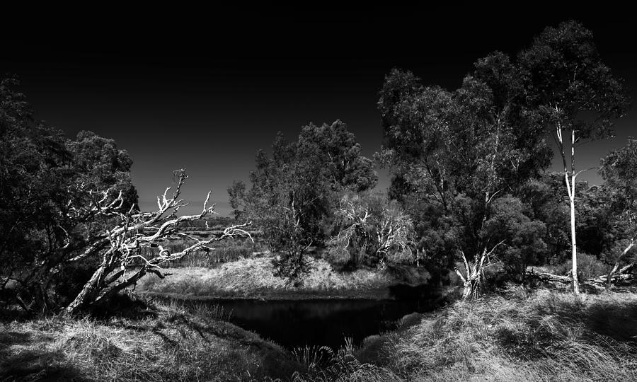 Black And White Photograph - North Lake by Julian Cook