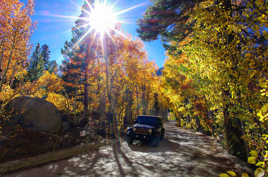 North Lake Road Fall Color Jeep Photograph by Scott McGuire