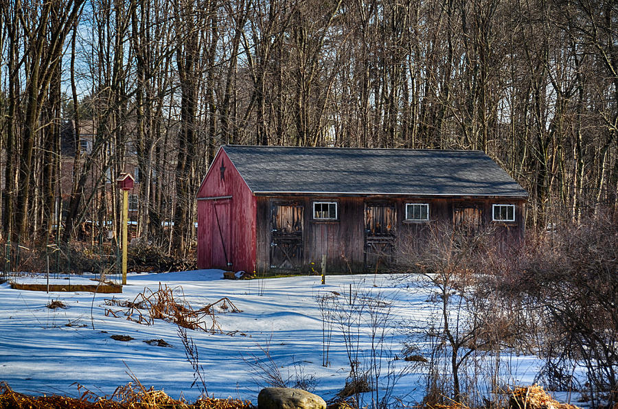 North Lowell Barn Photograph by Tricia Marchlik