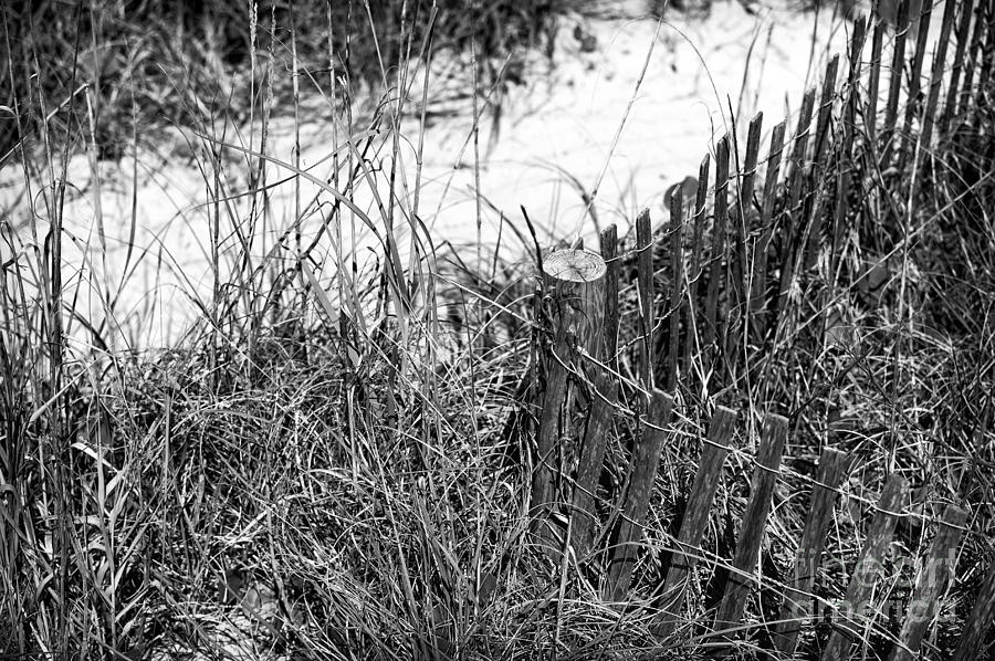 North Myrtle Beach Dune Angles mono Photograph by John Rizzuto
