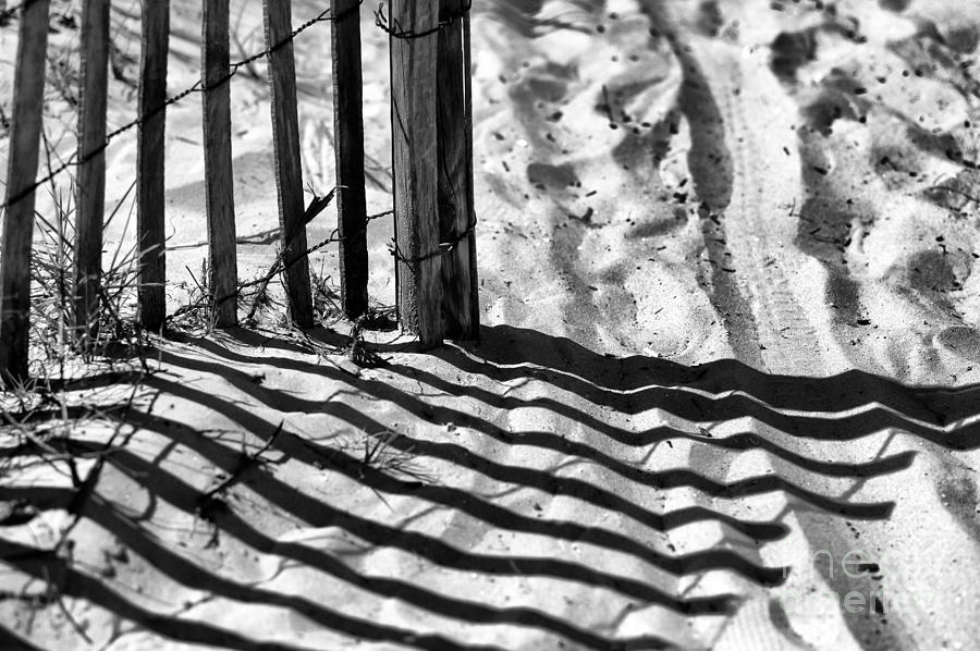 North Myrtle Beach Dune Lines mono Photograph by John Rizzuto