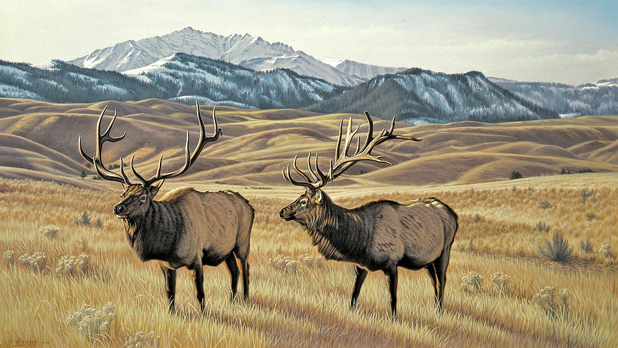 Wildlife Painting - North of Yellowstone by Paul Krapf