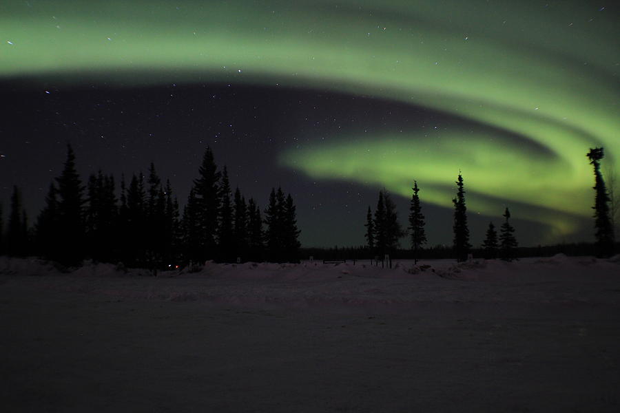 North Pole Aurora Photograph by Kristin M Crist