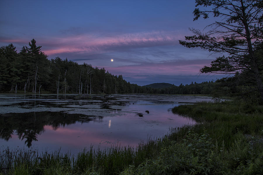 North Pond Full Moon Photograph by Tom Singleton