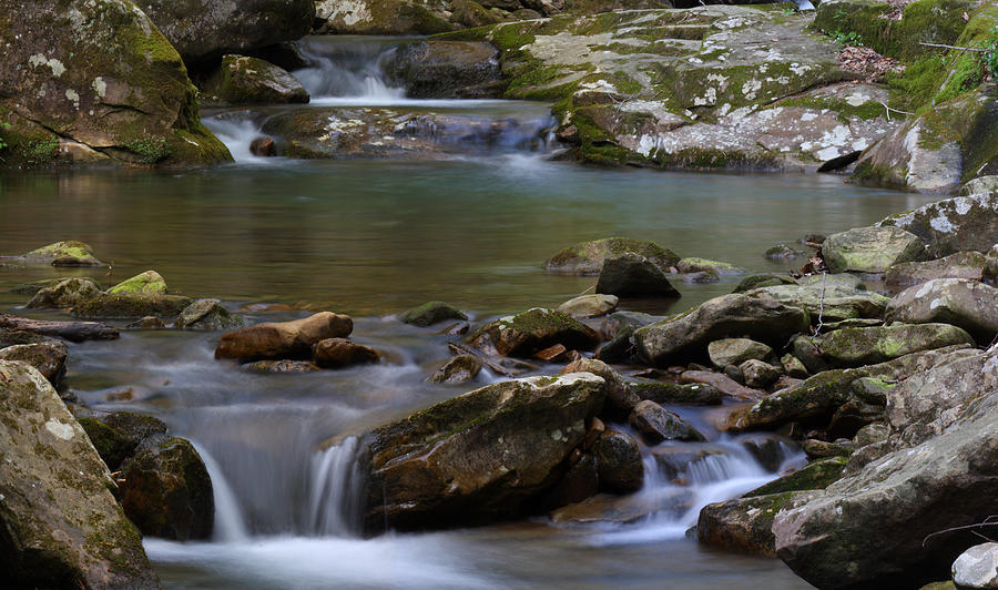 North Prong Of Flat Fork Creek Photograph by Daniel Reed
