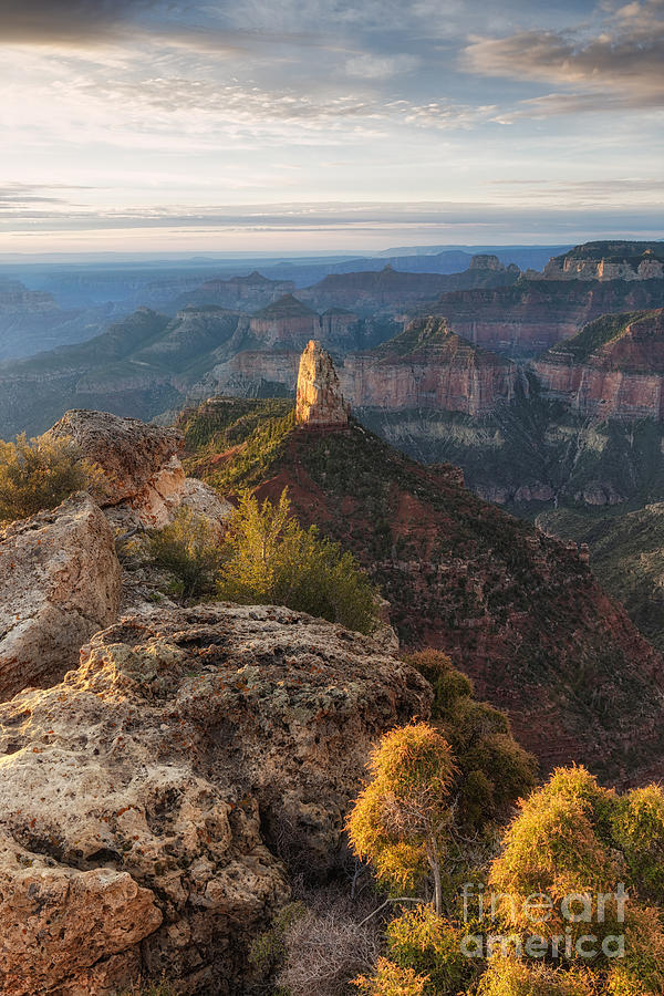 North Rim Grand Canyon Arizona Point Imperial bathed by Sunrise Golden Light. Photograph by Silvio Ligutti