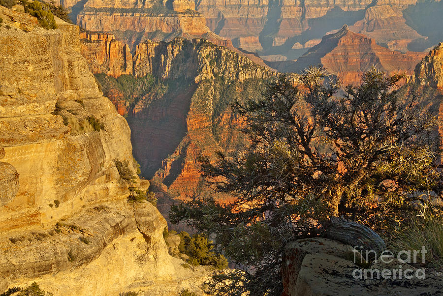 North Rim Of Grand Canyon Photograph by Richard & Ellen Thane
