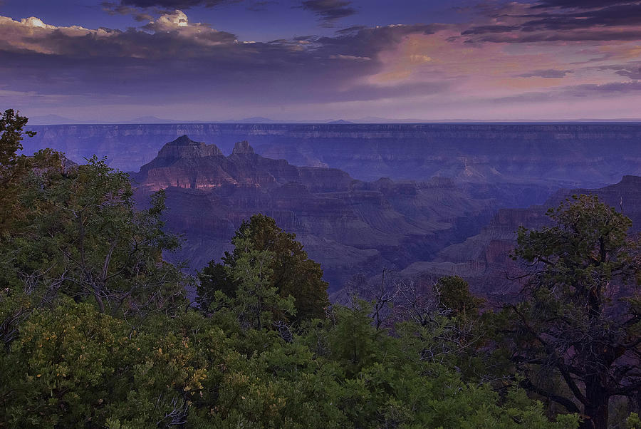North rim of the Grand Canyon Photograph by Carolyn DAlessandro