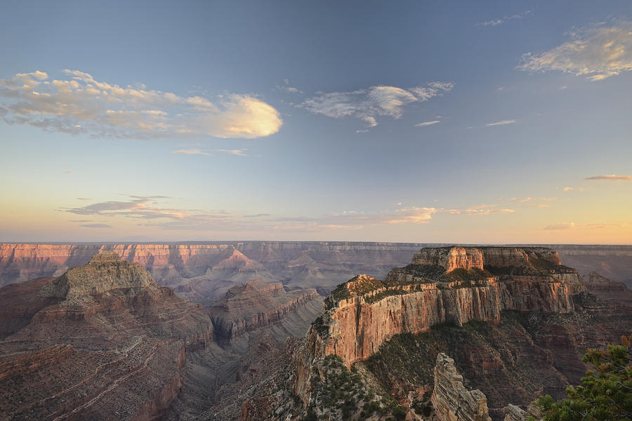 Grand Canyon National Park Photograph - North Rim Of The Grand Canyonarizona Usa by Peter Carroll