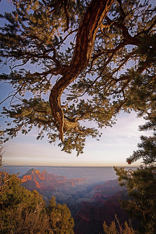 North Rim Sunset Photograph by Eric R. Hinson