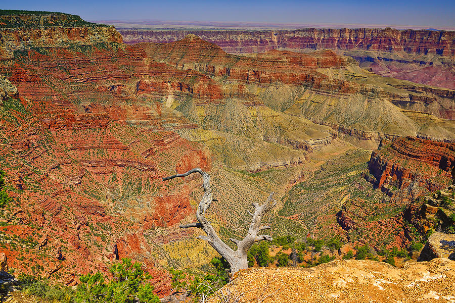 North Rim View Photograph by Greg Norrell