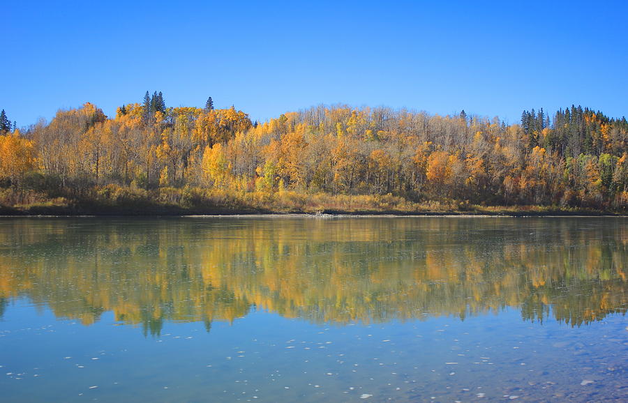 North Saskatchewan River in the fall Photograph by Jim Sauchyn