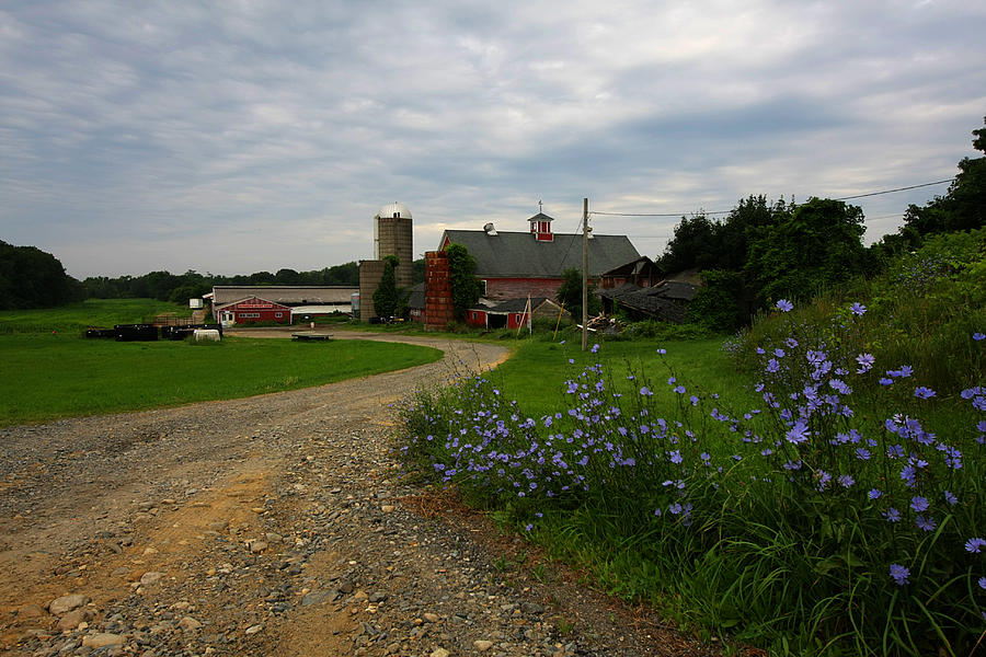 North Shore Farm Photograph By David DeCenzo Fine Art America   North Shore Farm David Decenzo 