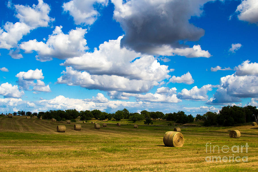North Texas Hay Harvest Photograph by JD Smith