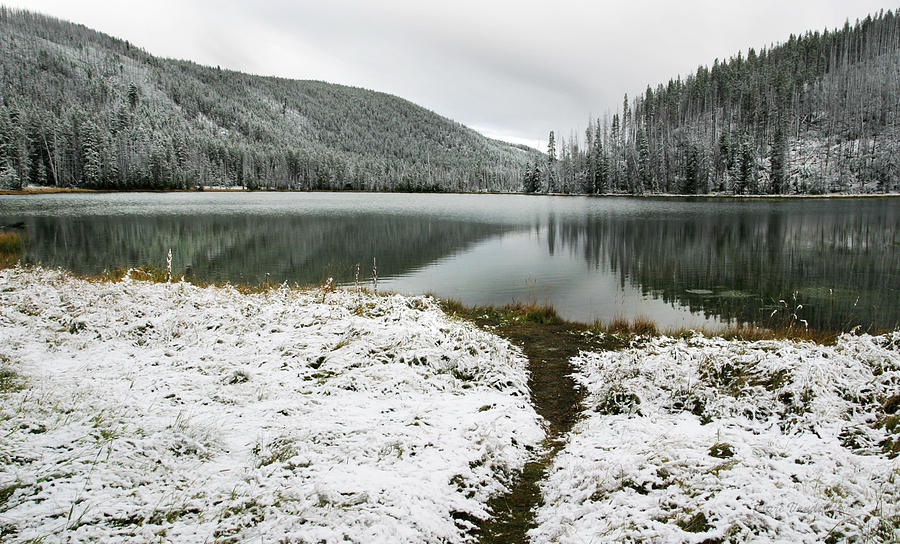 North Twin Lake Yellowstone Photograph by Clare VanderVeen