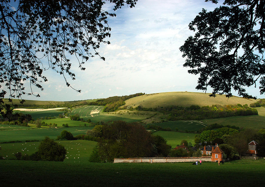 North Wessex Downs Photograph by Mark Llewellyn