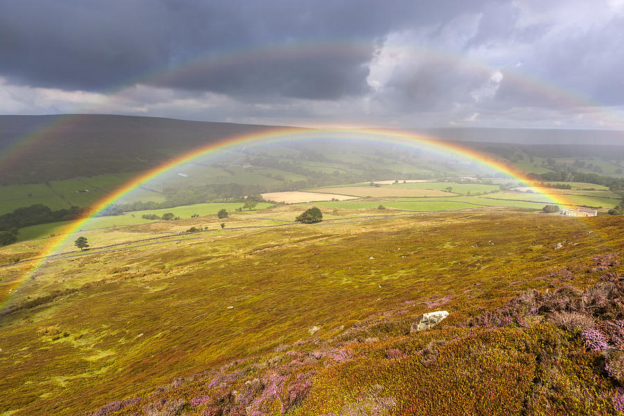 North York Moors National Park Photograph by Sebastian Wasek