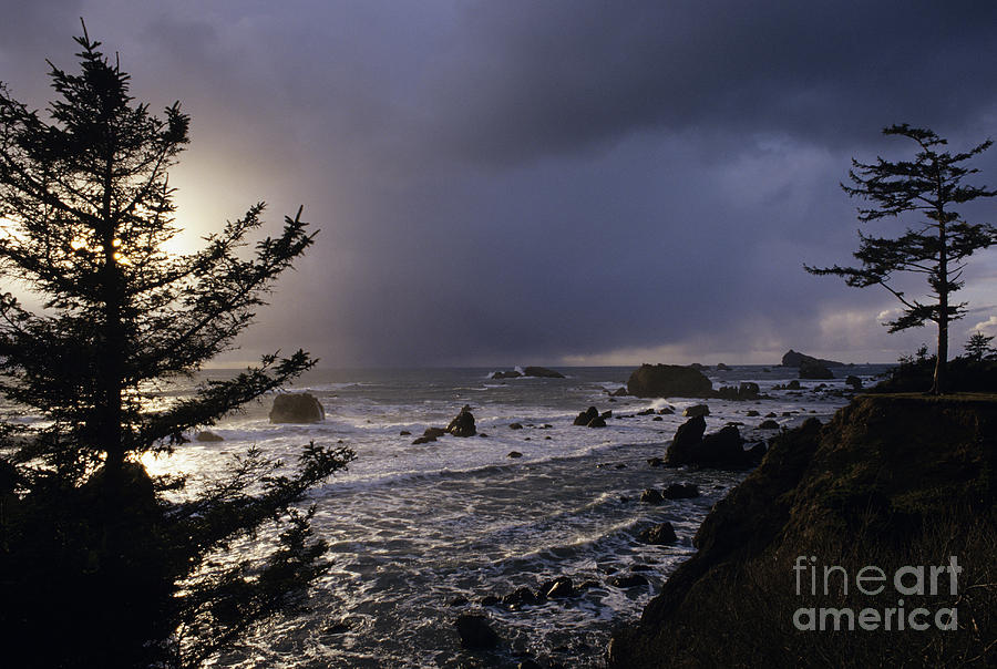Northern California Coastline Photograph by Jim Corwin