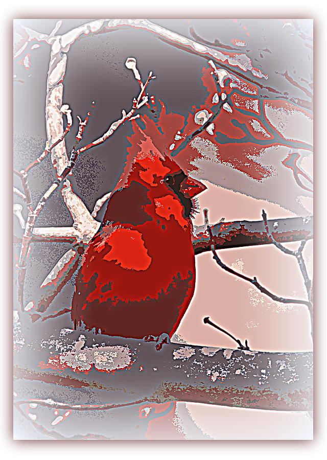 Northern Cardinal  104124-037 Photograph by Travis Truelove