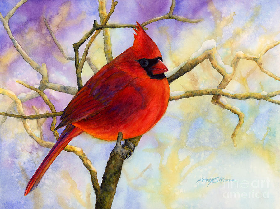 Cardinal Painting - Northern Cardinal by Hailey E Herrera