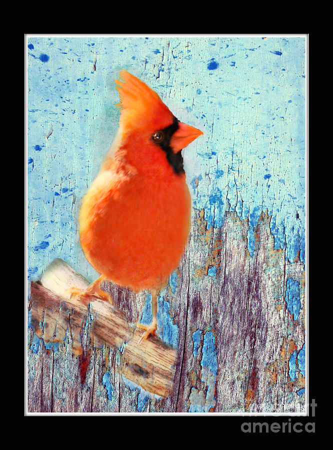 Northern Cardinal with Leaf in Beak - Digital Paint IV Photograph by Debbie Portwood