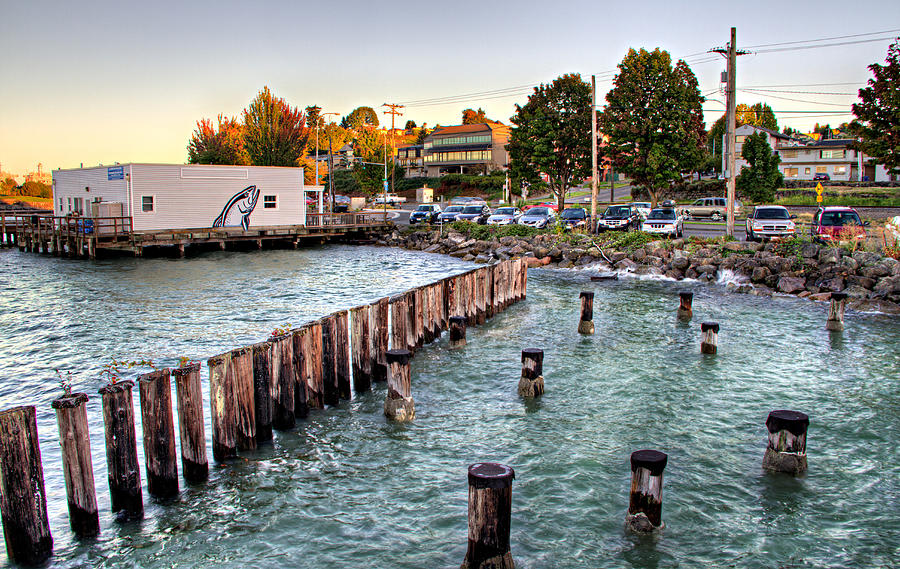 Northern Fish Co. Old Town Tacoma WA Photograph by Rob Green