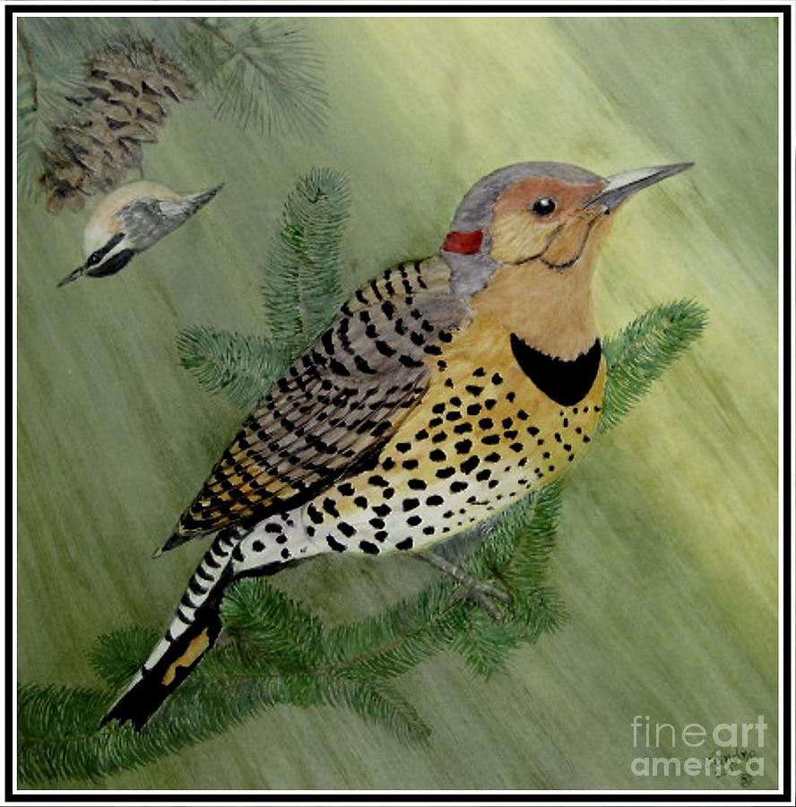 Bird Painting - Northern Flicker and Red-breasted Nuthatch by Sandra Maddox