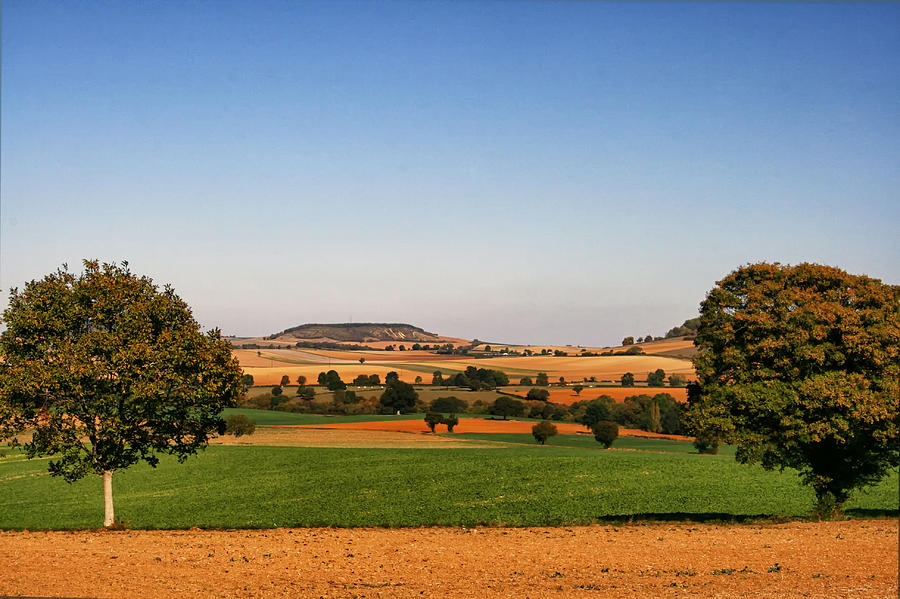 Summer Photograph - Northern France Landscape by Georgia Clare