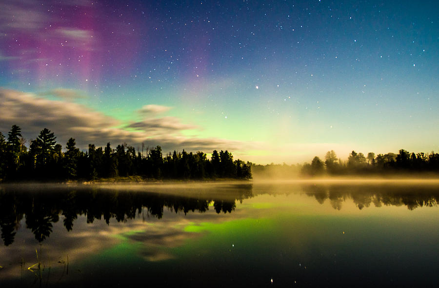 Tree Photograph - Northern Lights in the BWCA by Christopher Broste