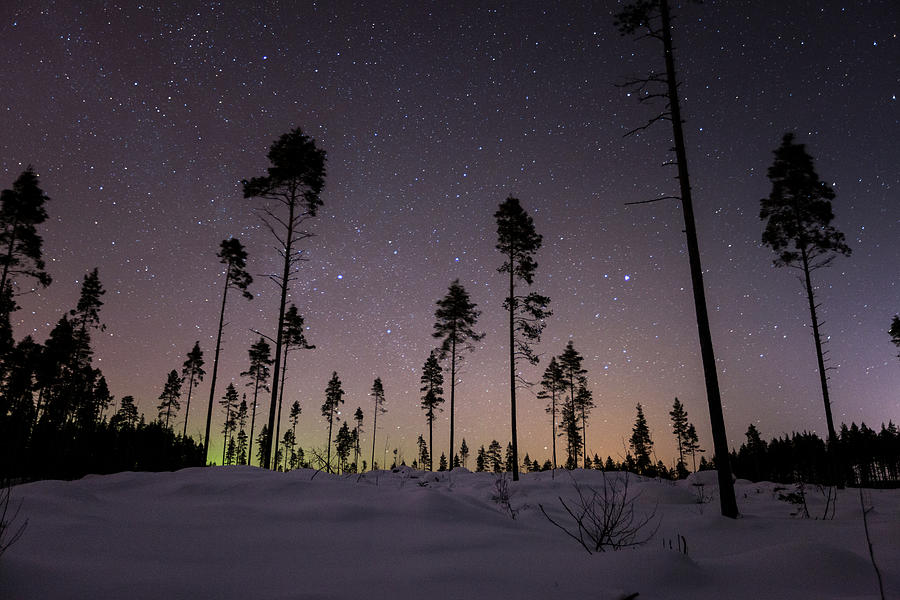 Northern Lights And Light Pollution Photograph by Atte Kallio
