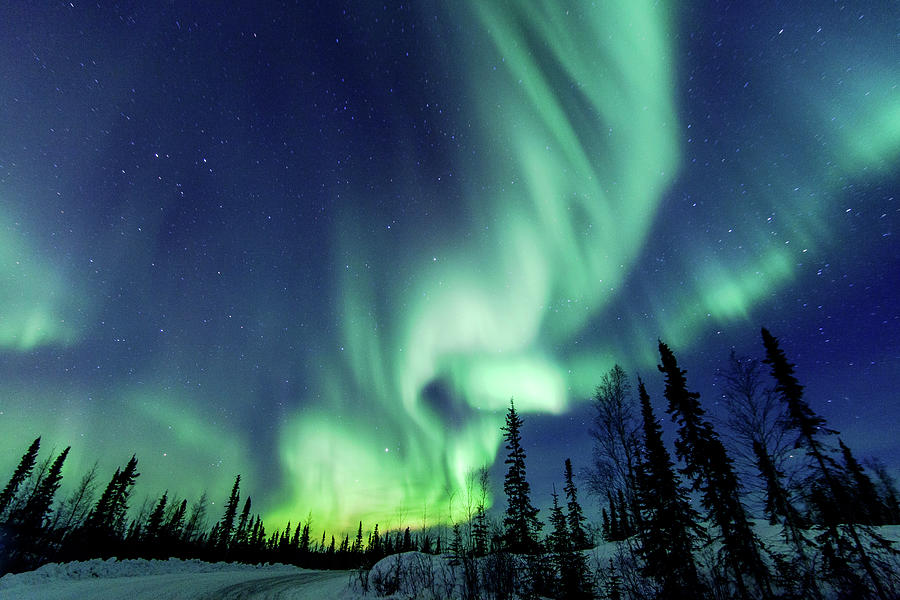 Northern Lights Close To Yellowknife In Photograph by Vincent Demers Photography