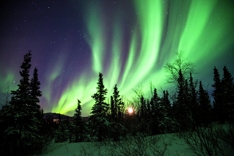 Northern Lights Photograph by Daniel A. Leifheit