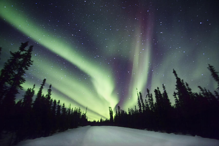Northern Lights II Photograph by Gigi Ebert