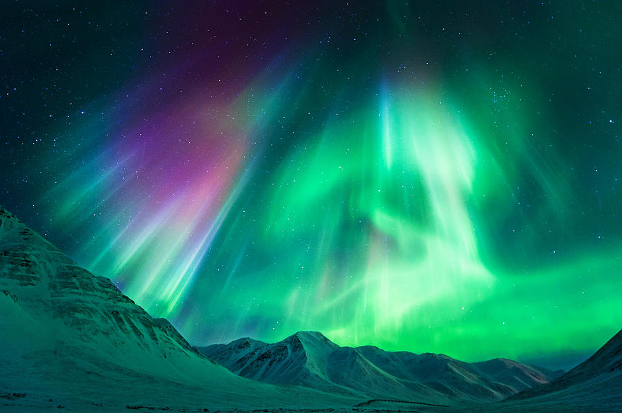 Northern Lights in Alaska Photograph by Noppawat Tom Charoensinphon