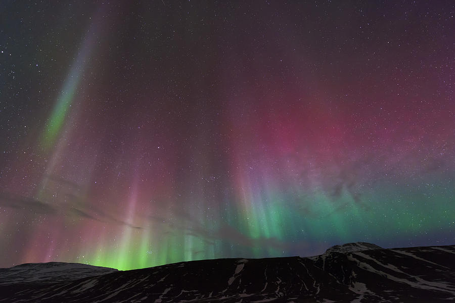 Northern Lights Photograph by John Shaw