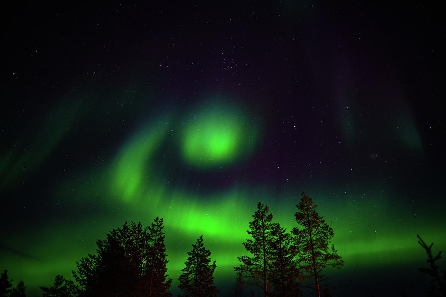 Northern Lights, Lapland, Sweden Photograph by Panoramic Images
