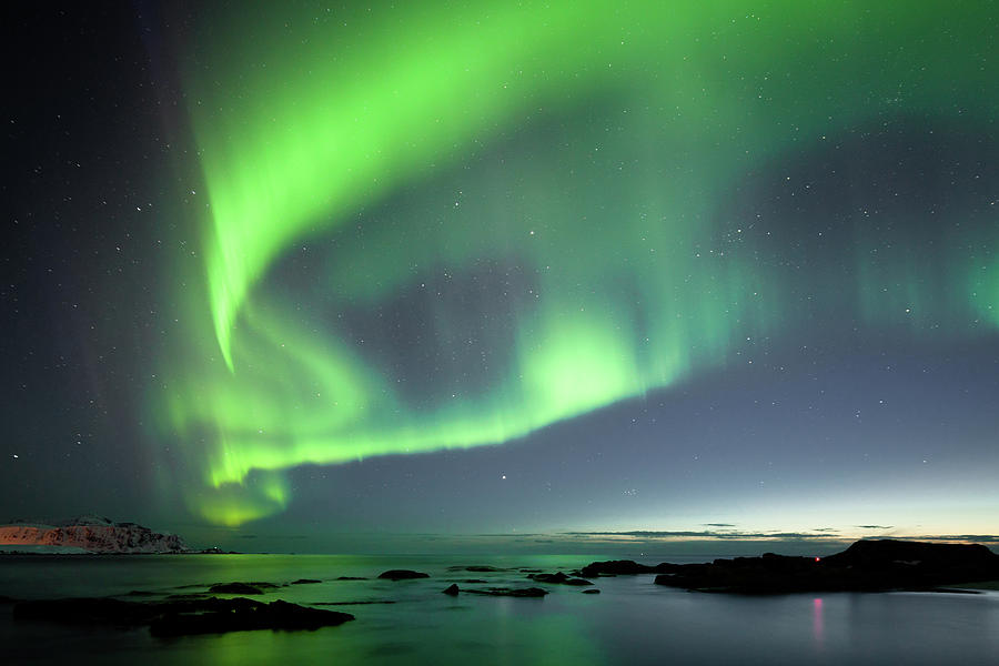 Northern Lights Lofoten Norway Photograph by Steffen Schnur