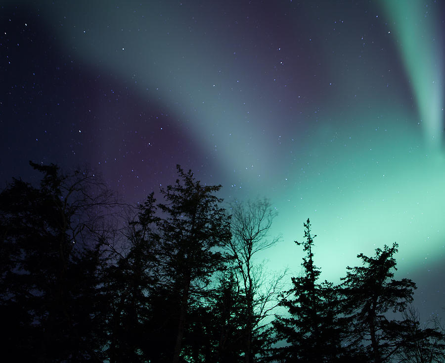 Northern Lights Photograph by Michele Cornelius