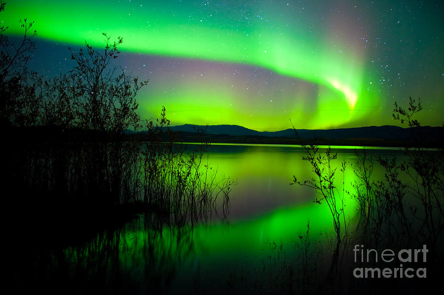 Northern lights mirrored on lake Photograph by Stephan Pietzko