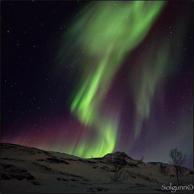 Northern Lights Or Aurora , This Is Photograph by Solgunn Hansen