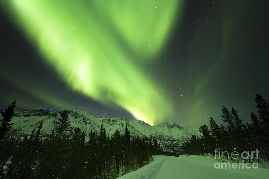 Northern Lights Over Annie Lake Road Photograph by Philip Hart