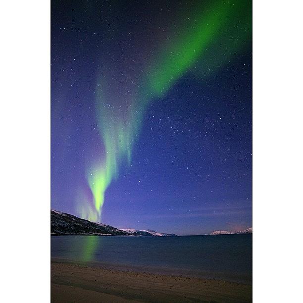 Northern Lights Over Sørvika. Picture Photograph by Steffen Fossbakk