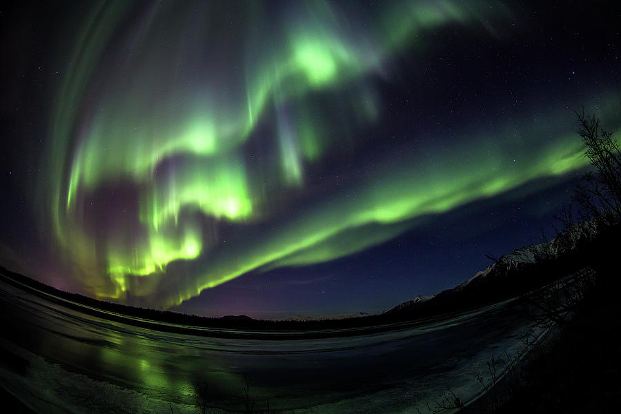 Northern Lights Over The Knik River Photograph by Kevan Dee