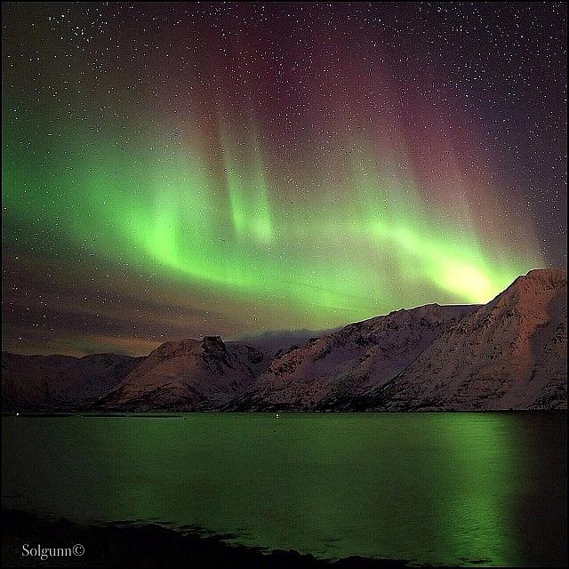 ❤️💚❤️💚northern Lights Photograph by Solgunn Hansen