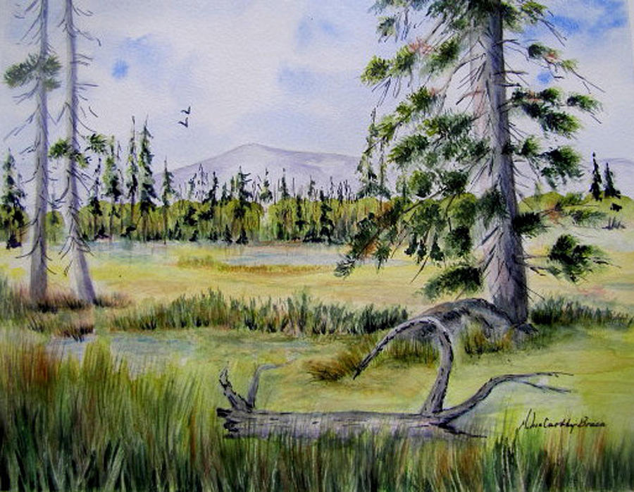 Summer Painting - Northern Ontario Wetlands by April McCarthy-Braca